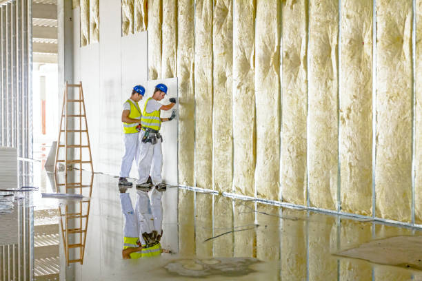 Best Residential Insulation in Aberdeen, NC